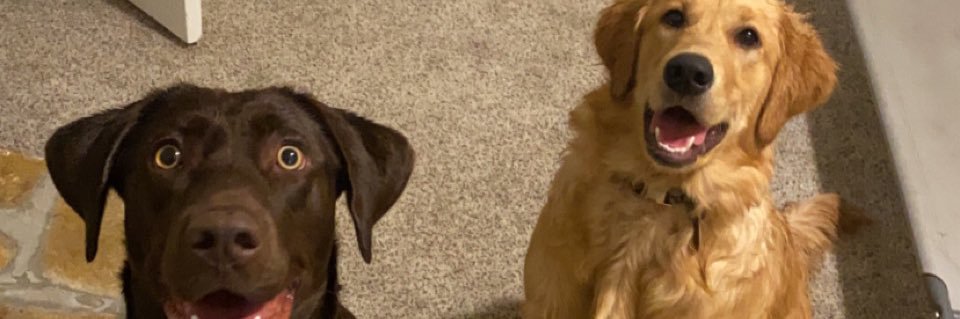 hannahmconwell's profile banner image