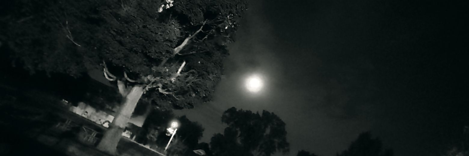 atef_ra's profile banner image