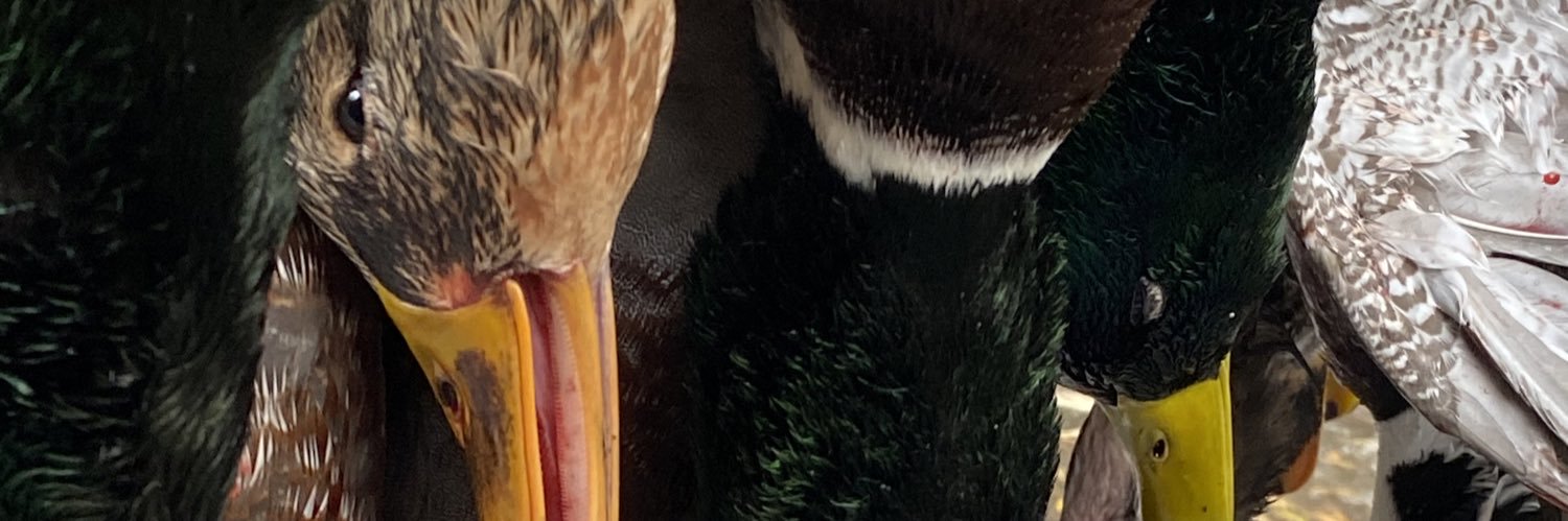 Ksmith6969's profile banner image