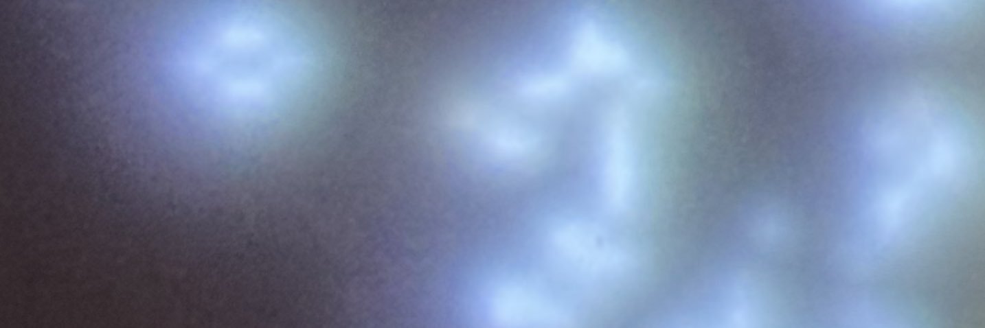 furgy's profile banner image