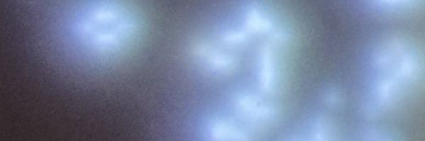 furgy Profile Banner