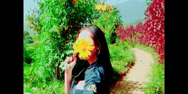 Nizz_nz's profile banner image