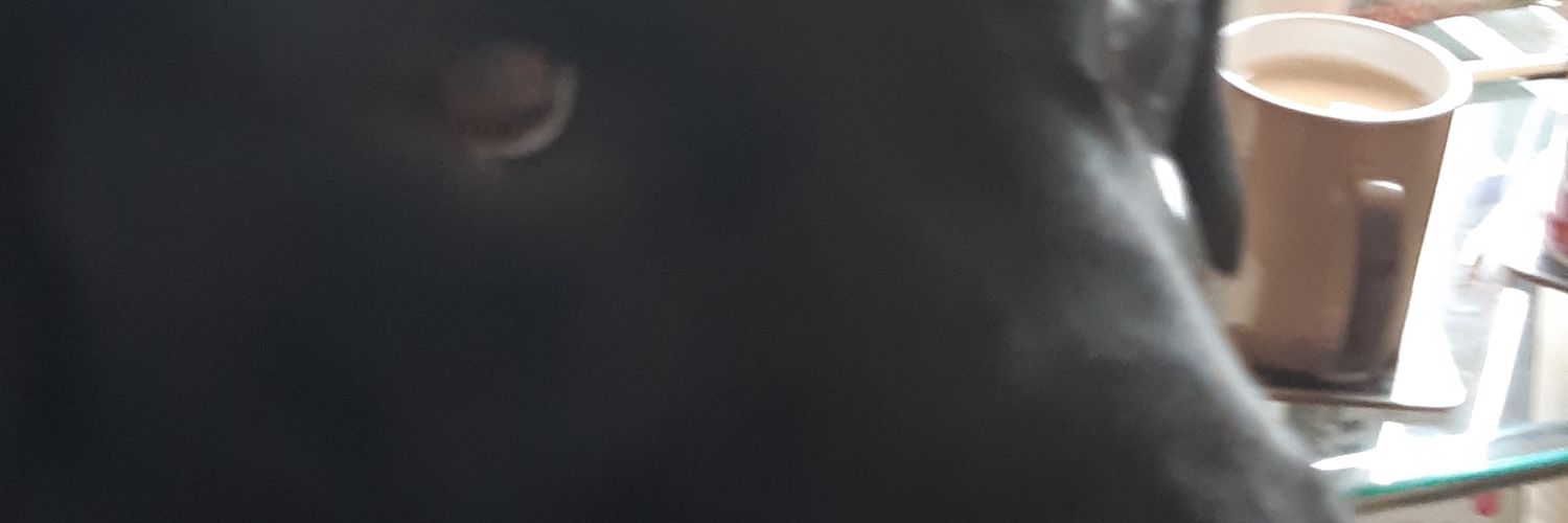 BtccClare banner