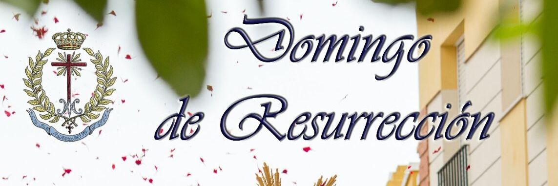 Resucitado Palma del Rio banner