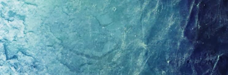 bro banner
