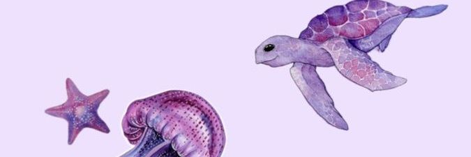 Yetzintli's profile banner image