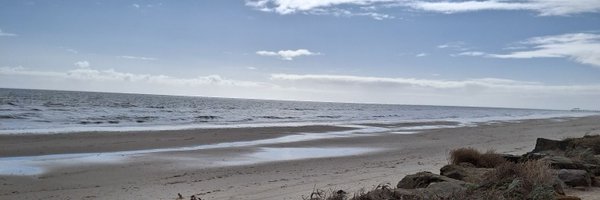 730chocolate Profile Banner