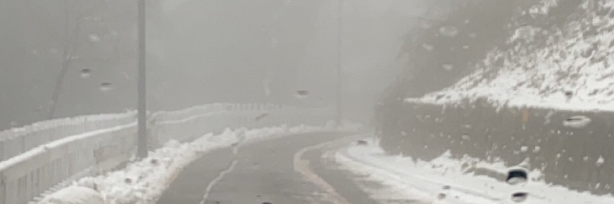 طلحہ زاہد banner