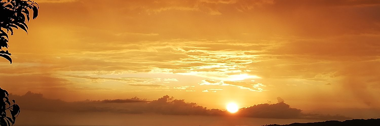 BereSoo's profile banner image