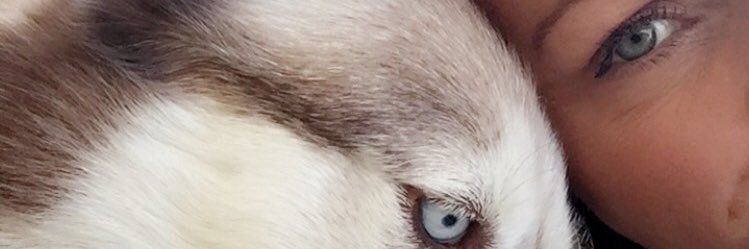 stacysanches3's profile banner image