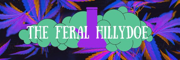 Hillydoe Profile Banner