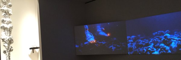 miyacof Profile Banner
