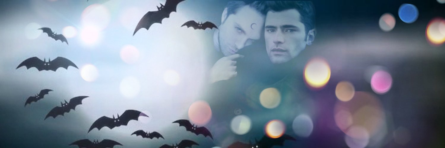 Dax Maslin banner