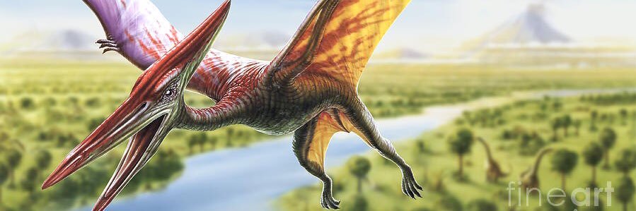 Butterdactyl's profile banner image