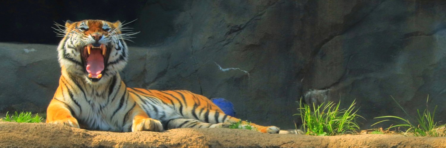 日立市かみね動物園〔公式〕's banner