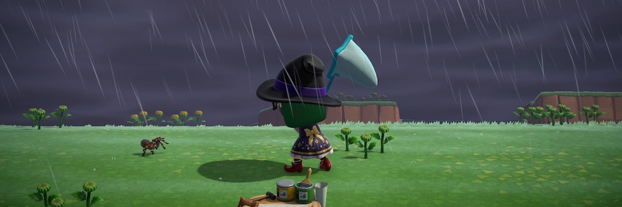 tarantula kat banner