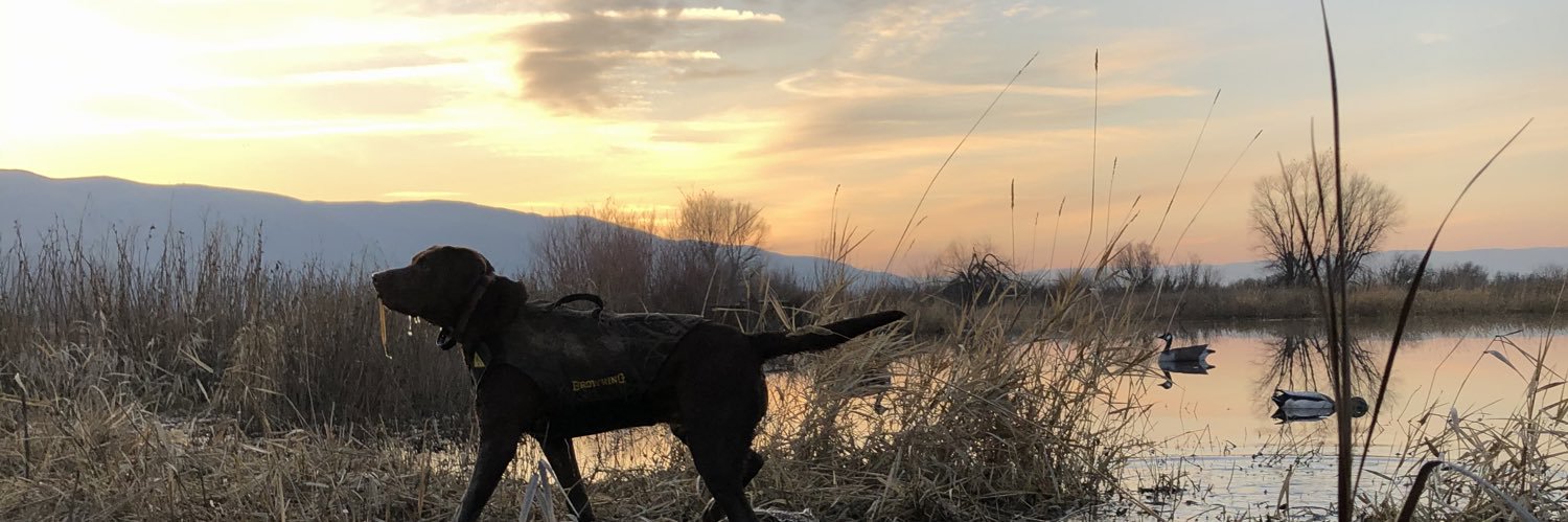 CrabbSaysTruth's profile banner image