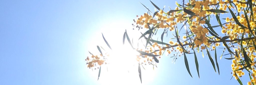 s_ter's profile banner image
