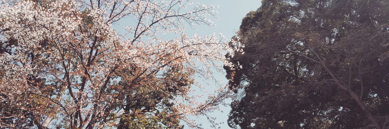 janemichaela's profile banner image