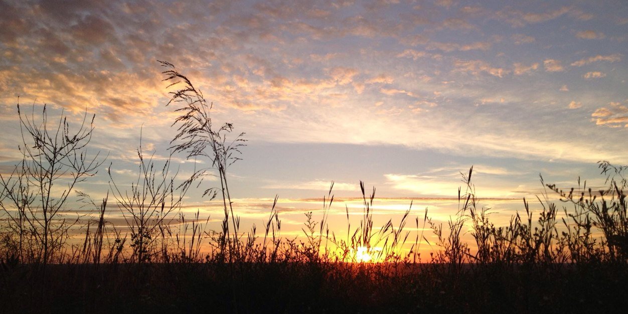 RossWestervelt's profile banner image