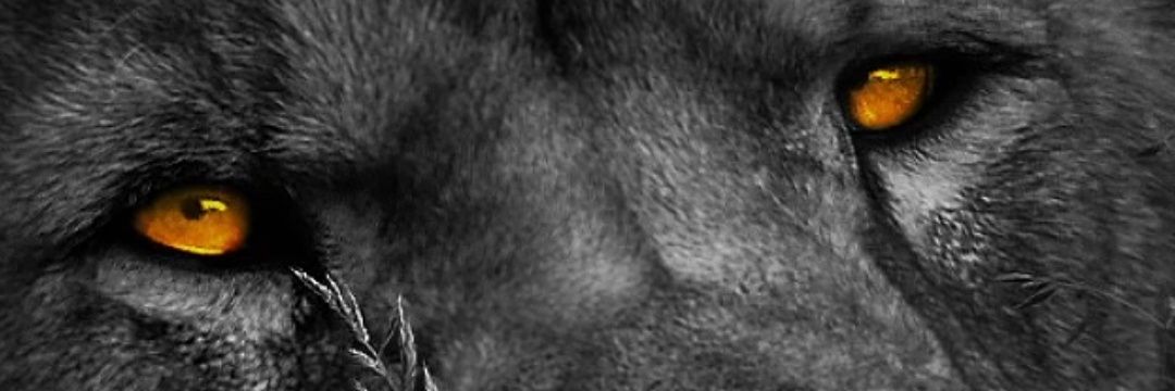 zeroes008's profile banner image