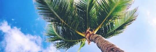 alee_dreew's profile banner image