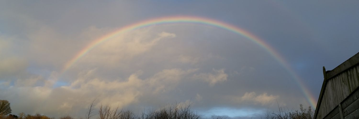 TracyDarke's profile banner image