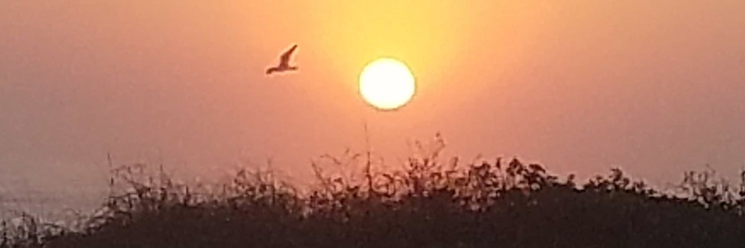 Tee Bermea 🏳️‍🌈🇺🇸🇺🇦 banner