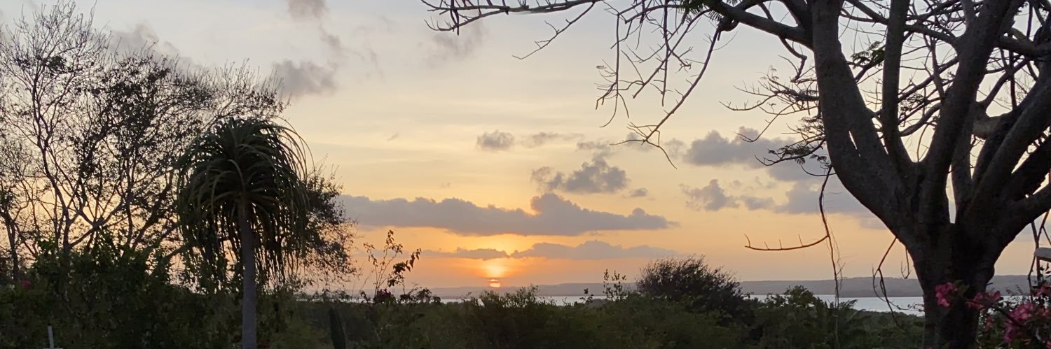crnmvll's profile banner image