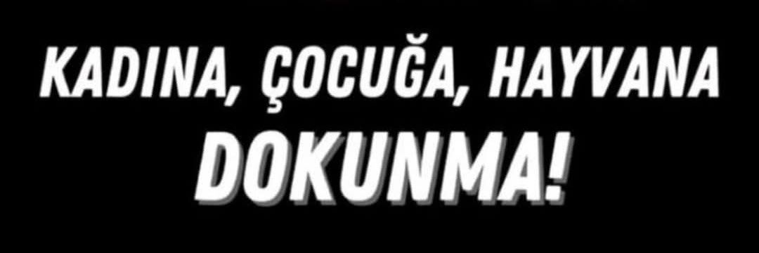 1923Yula's profile banner image