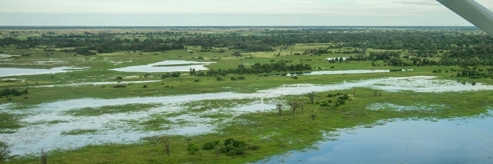 Desert & Delta Safaris banner