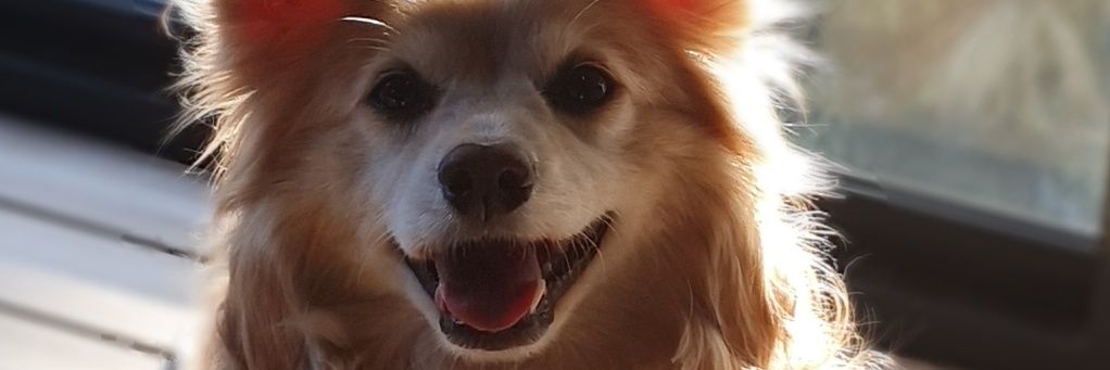 bassymphonies's profile banner image