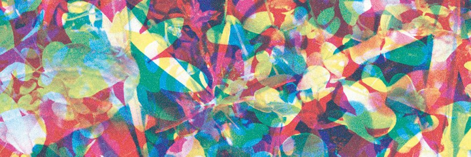 Ronan Connolly banner