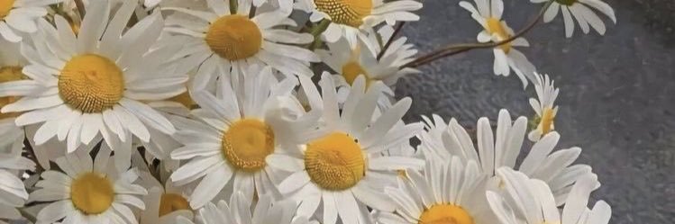 carlaafnds's profile banner image