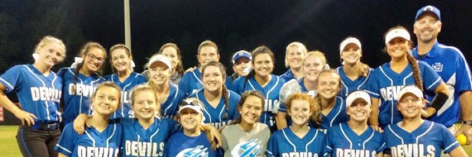 Clay Lady Blue Devils Softball banner