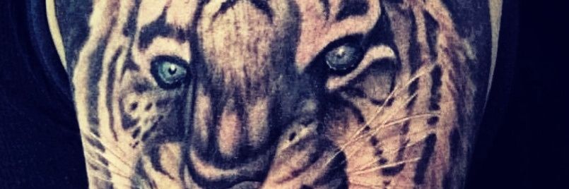 ernestigre's profile banner image
