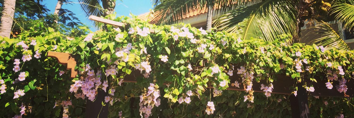 carlamariej's profile banner image