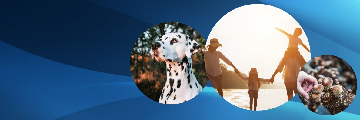 AusDiagnostics banner