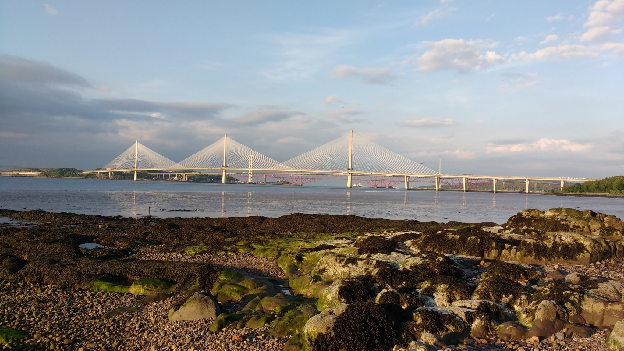 Roibeard Mhuiris banner