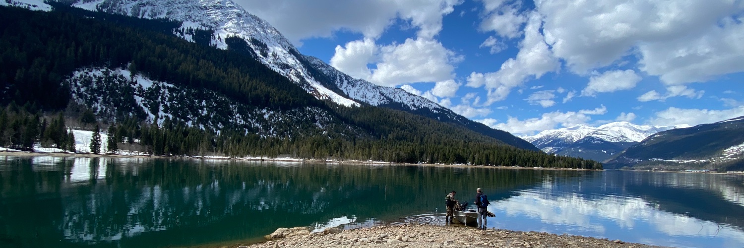 Mateen Hessami banner