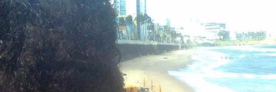 marcelarrs's profile banner image