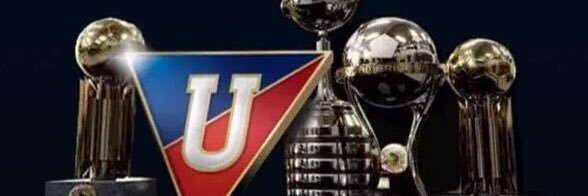 roberLDU's profile banner image