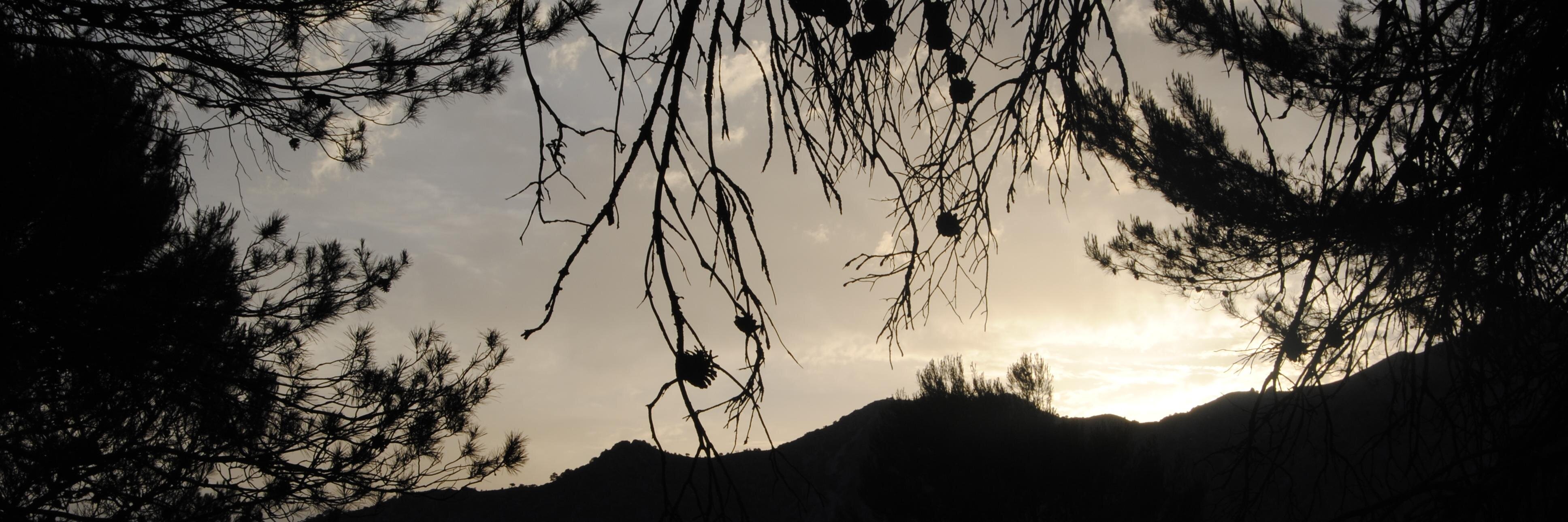 sf_jimenez's profile banner image