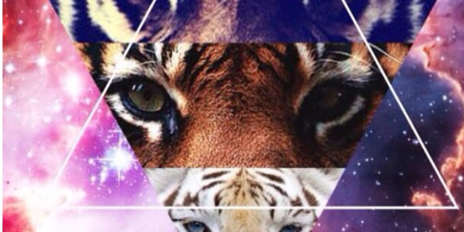 burcukrblt's profile banner image