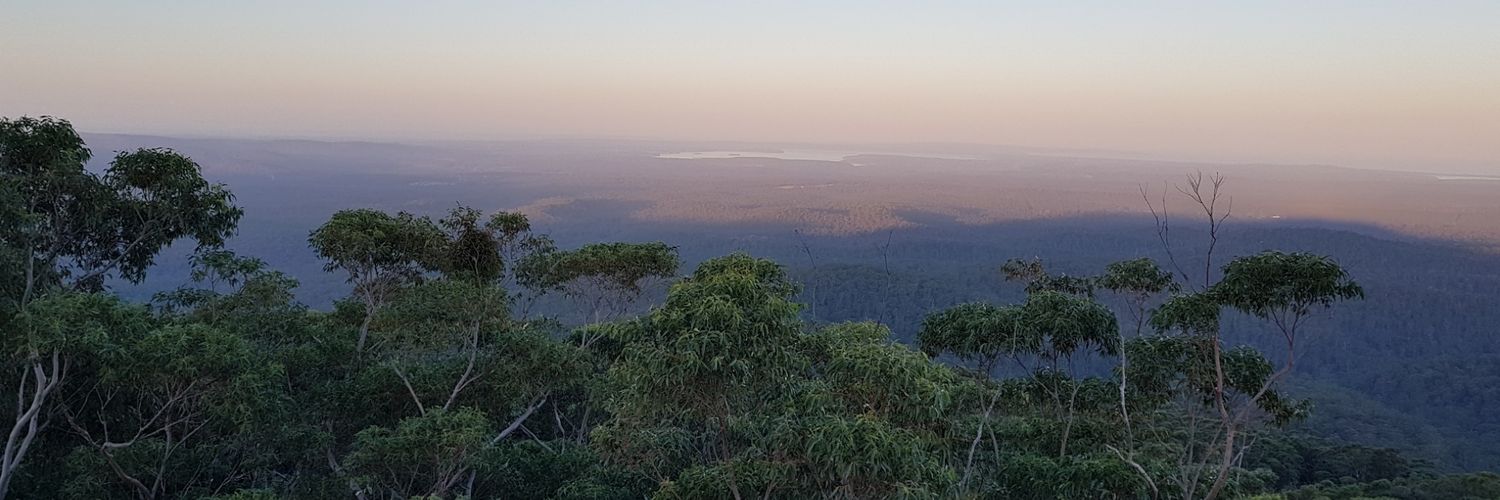 Brittany Worthy banner