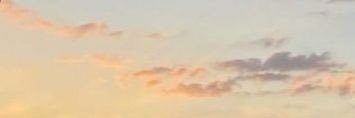 mujibus_'s profile banner image