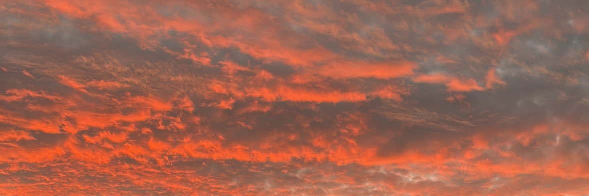 F_Bzzn's profile banner image