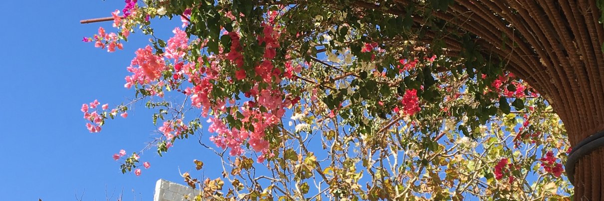 Susanne Huhmann banner