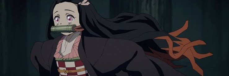 みかりฅ՞•🐽•՞ฅ 🎋🎀 banner