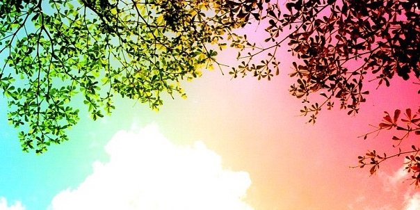 applemint_tea's profile banner image